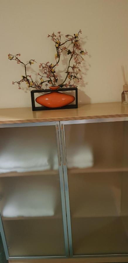זלקרוס Happy Apartment מראה חיצוני תמונה